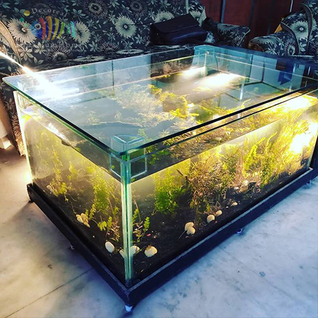 Aquarium Home Gurgaon