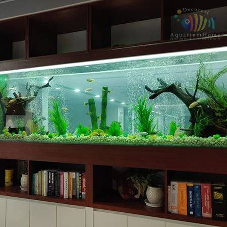Aquarium Home Gurgaon