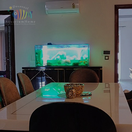 Aquarium Home Gurgaon