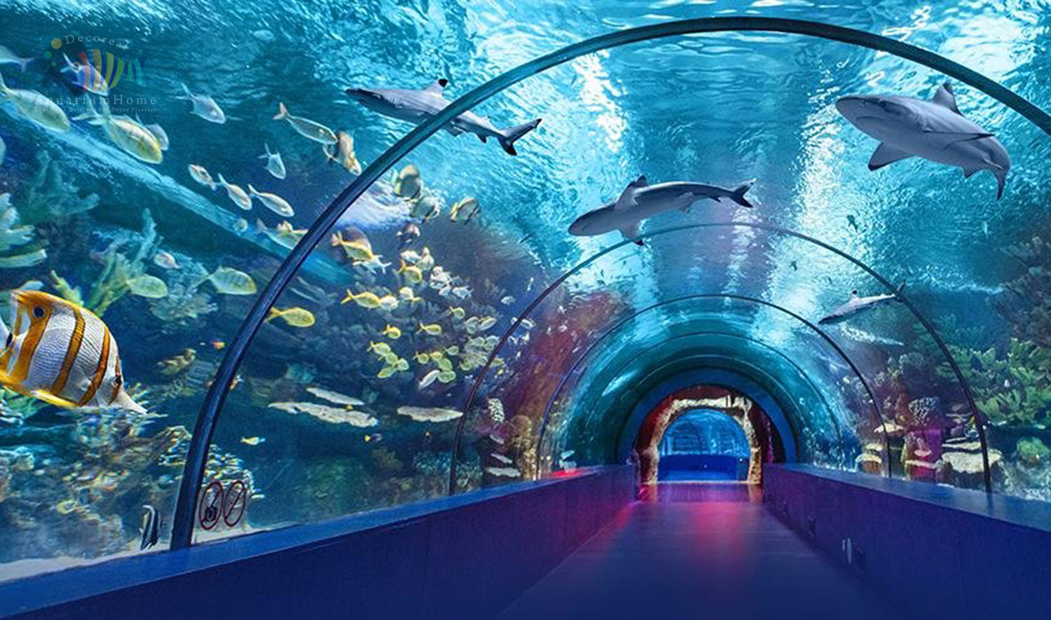 Custom Aquarium Manufacturers in Gurgaon